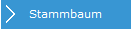 1. Anzeige Stammbaum
