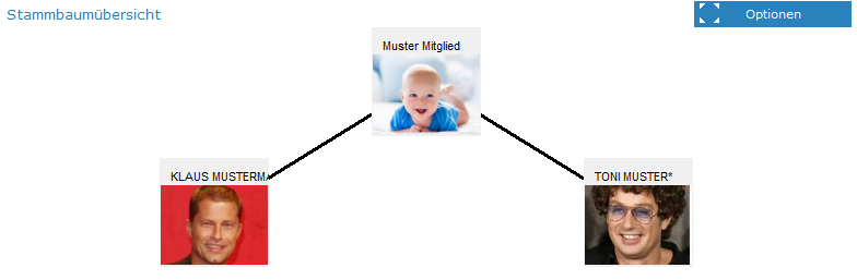 3. Stammbaumübersicht