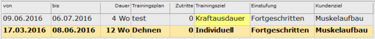 9. Übersicht Trainingsplan