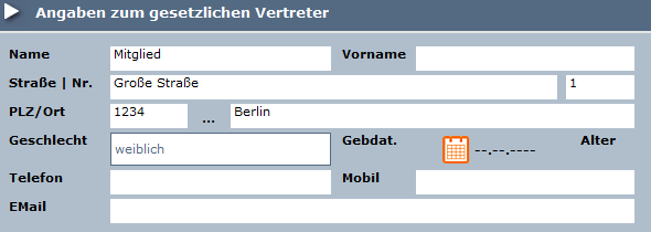 1. Angaben Gesetzlicher Vertreter